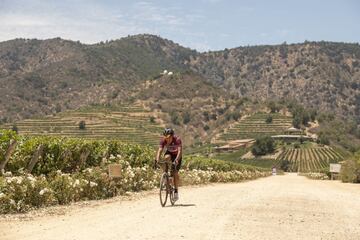 La Gran Fondo Ruta del Vino congregó a cerca de 80 competidores en el Valle de Colchagua.