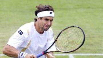 David Ferrer, ayer.