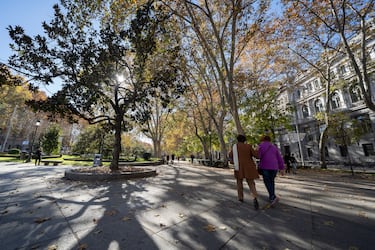 Está en pleno corazón de Madrid y se trata de un paseo arbolado, el primero en una gran ciudad europea (s.XVI), que fue construido como ejemplo de alameda urbana. Evolucionó con la construcción del palacio y jardines del Buen Retiro y, posteriormente, el Real Jardín Botánico, el Real Observatorio Astronómico, la Real Academia de la Lengua y la Academia de Ciencias, actual Museo del Prado, en un proyecto para educar al público y divulgar la ciencia. Desde entonces agrupa las principales instituciones políticas, culturales, económicas, sociales y científicas.
