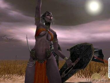 Kingdom Under Fire: Heroes