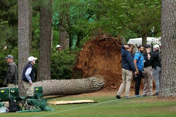 Impactantes imágenes del árbol caído en el hoyo 17 de Augusta