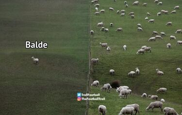 Los memes más divertidos del fin de semana