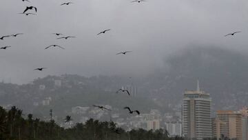 Así avanza el Huracán Blas en México: pasa a categoría 1 y llega a la costa