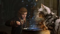 Los gatos de Hogwarts Legacy están aprendiendo a usar avada kedavra y tenemos el vídeo que lo demuestra