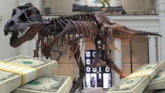 Paga 16 millones por una carta de Pokémon y empieza una nueva “búsqueda del tesoro”: fósil de T-Rex, Declaración de Independencia...