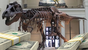 fosil t rex precio documento original declaracion independencia aj scaramucci carta pokemon logan paul