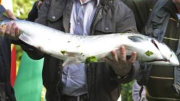 El río Cares dio el "campanu" de Asturias, un salmón de 4,7 kilos