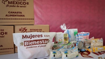 Registro Alimentación para el Bienestar Edomex: fechas clave y requisitos para recibir despensa gratis