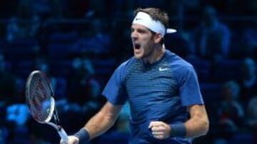 Juan Martín Del Potro reacciona tras imponerse a Richard Gasquet.