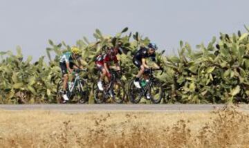 Séptima etapa entre Almendralejo y Mairena de Aljarafe. Aramendia Knees y Pinotti estuvieron gran parte del recorrido escapados.