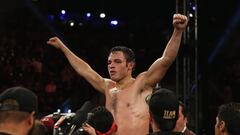 LOS ANGELES, CA - SEPTEMBER 28:  Julio Cesar Chavez Jr. celebrates his Light Heavyweight victory over Brian Vera at StubHub Center on September 28, 2013 in Los Angeles, California.  (Photo by Jeff Gross/Getty Images)