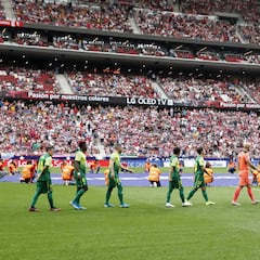 Atlético de Madrid-Eibar en imágenes