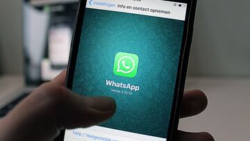 WhatsApp trabaja en un buscador para contactar con empresas