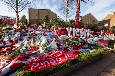 Un ídolo viene a verme