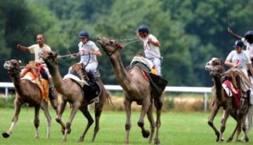 Jockeys ride camels during a French Cup of camel races on August 10, 2014 on the horserace track of La Chartre-sur-le-Loir, western France. Unusual in these latitudes, eight dromaderies that have never seen the desert, took part in two races of 1000 meters. AFP PHOTO / JEAN-FRANCOIS MONIER