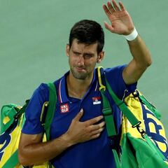 Del Potro hace llorar a Djokovic