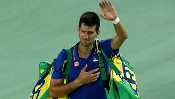 Del Potro hace llorar a Djokovic