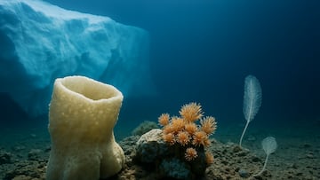 Iceberg & ecosystem| AI image