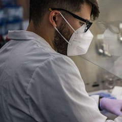 Un estudio revela la duración de los anticuerpos tras la infección