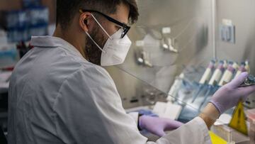 Un estudio revela la duración de los anticuerpos tras la infección