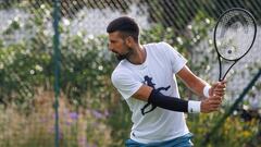 Encuentro Alcaraz-Djokovic: “He mejorado rápido”