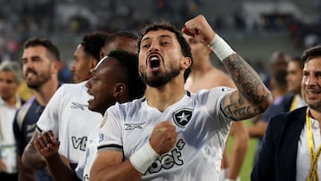 Botafogo stun European champions