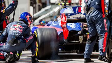 Carlos Sainz haciendo un pit stop con el Toro Rosso en Hungr&iacute;a.