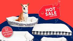 Hot Sale 2022: estas son las mejores ofertas para mascotas