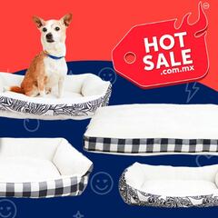 Hot Sale 2022: estas son las mejores ofertas para mascotas