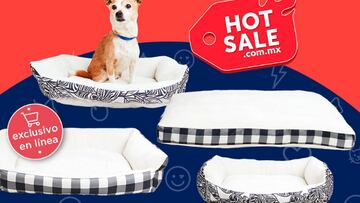 Hot Sale 2022: estas son las mejores ofertas para mascotas