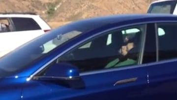 Un conductor se duerme al volante de su Tesla S.
@Tech insider