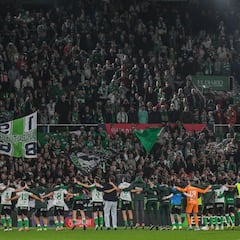 Un proyecto embalado