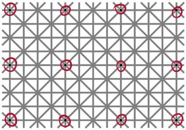 ?Cuntos puntos negros ves en la imagen?
