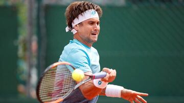 David Ferrer ganó en Monterrey para cerrar su temporada