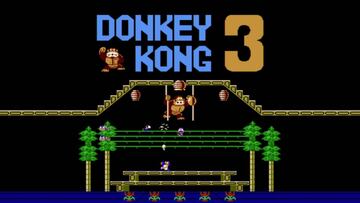 Donkey Kong 3 / Nintendo