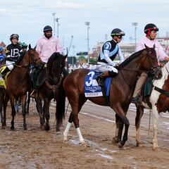 Kentucky Derby 2025: How often does the favorite horse win the race?