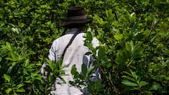 Toque de queda hoy, 22 de septiembre, en Perú: a qué hora comienza, hasta cuándo es y multas por salir