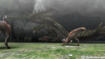 Captura de pantalla - monster_hunter_tri_13.jpg