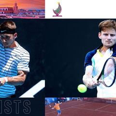 Goffin vuelve a una final en tierra siete años después