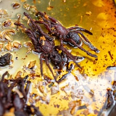 Las 10 comidas más raras del mundo ¿Las probarías?