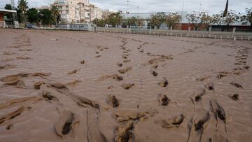 SEDAVÍ, 02/11/2024.- El barro cubre por completo un campo de fútbol en Sedaví, Valencia, este sábado. Miles de personas se encuentran en la Ciudad de las Artes y las Ciencias de València esperando para subir a un autobús que les lleve a las zonas más afectadas por la Dana y ayuda en las labores de limpieza. Ataviados con palas, cepillos, baldes y litros de agua, llevan ya cerca de una hora conformando la fila para partir a pueblos como Sedaví, Alfafar o Catarroja. EFE/ Kai Försterling