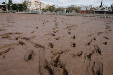  El barro cubre por completo un campo de fútbol en Sedaví, Valencia, este sábado. 