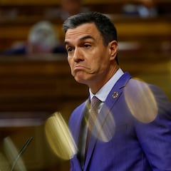 Pedro Sánchez, a Tamames: “No sé por qué se ríe...”