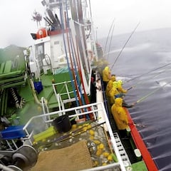 El bonito español, a las puertas de un récord