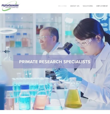 Planet of the Apes in real life: forty monkeys escape from South Carolina lab