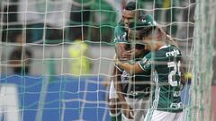 BRA55. SAO PAULO (BRASIL), 15/03/2017.- El jugador de Palmeiras Yerry Mina (c) celebra con los compa&ntilde;eros su gol ante Wilstermann hoy, mi&eacute;rcoles 15 de abril de 2017, durante un partido de la Copa Libertadores en el Estadio Allianz Parque de Sao Paulo (Brasil). EFE/Sebasti&atilde;o Moreira