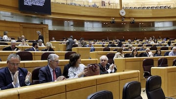 Vista general del pleno que se ha celebrado hoy en el Senado.