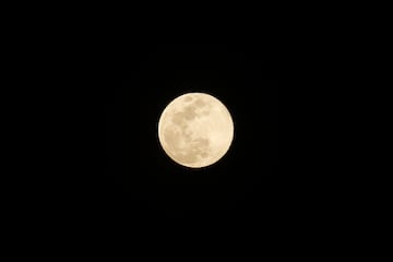 Así puedes ver el Eclipse de Luna de Gusano la noche de este domingo. Conoce cuáles son los estados en los que será visible.