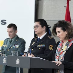 Tres personas son detenidas en Madrid por atracar 11 farmacias