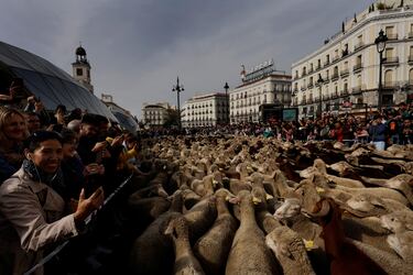 Tras finalizar el recorrido regresarán a la Casa de Campo.